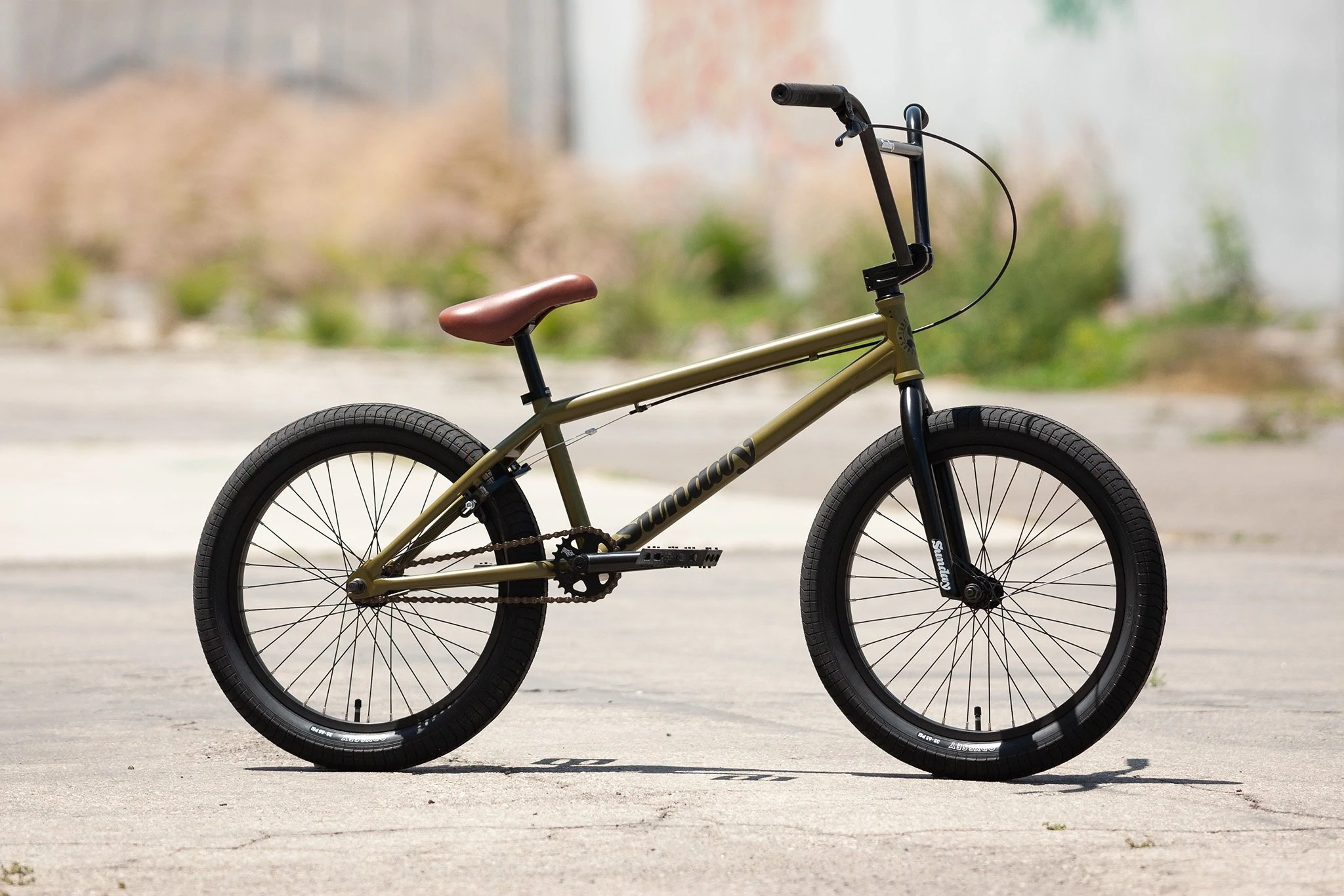 BMX SUNDAY 2022 Scout 21′ 4 BMX SUNDAY 2022 Scout 21′ – Image 4
