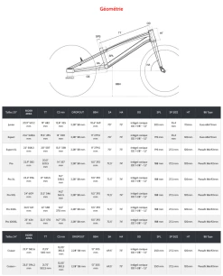 Cadre MARSHAL Serie THE CONDOR’S FLIGHT Red Pearl -équipement vélo Soldes Geometrie cadre marshal the condors 1