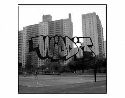 DVD / ZINE ANIMAL Widdit