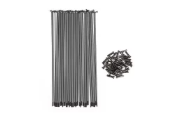 Pack BSD De 40 Rayons Straight Gauge Regular Black