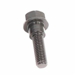 Vis GENERIC Femelle à L’unité